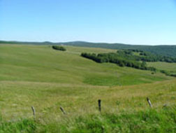 Paysage Aubrac été 2004